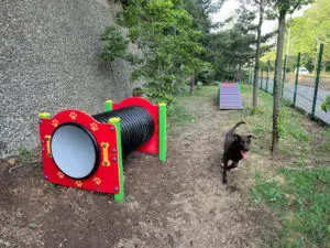 Parc agility à Chatillon